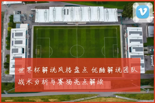 世界杯解说风格盘点 优酷解说团队战术分析与赛场亮点解读